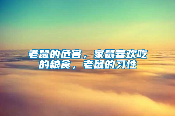 老鼠的危害，家鼠喜歡吃的糧食，老鼠的習(xí)性
