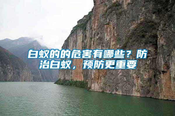 白蟻的的危害有哪些？防治白蟻，預(yù)防更重要