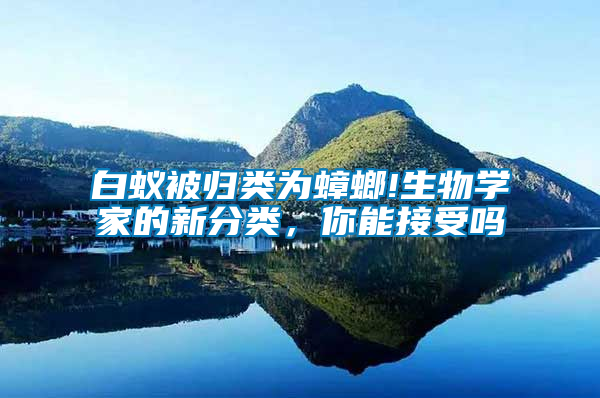 白蟻被歸類為蟑螂!生物學家的新分類，你能接受嗎