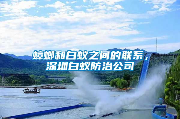 蟑螂和白蟻之間的聯系，深圳白蟻防治公司