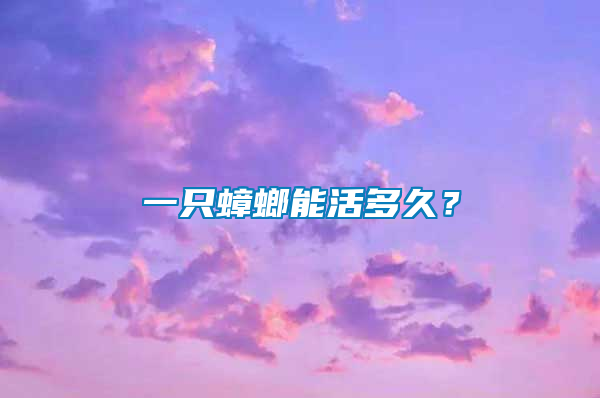 一只蟑螂能活多久？