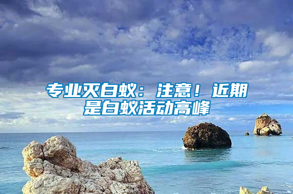 專業(yè)滅白蟻：注意！近期是白蟻活動高峰