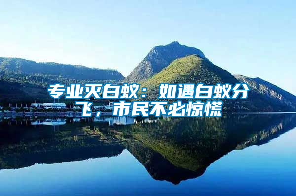 專業滅白蟻：如遇白蟻分飛，市民不必驚慌