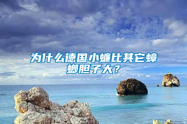 為什么德國小蠊比其它蟑螂膽子大？