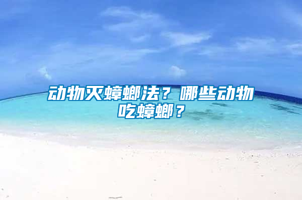動物滅蟑螂法？哪些動物吃蟑螂？