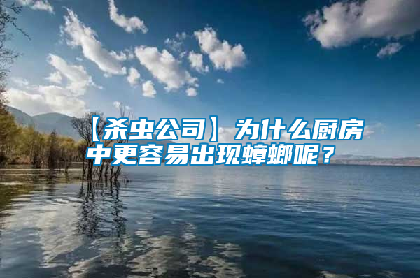 【殺蟲公司】為什么廚房中更容易出現蟑螂呢？