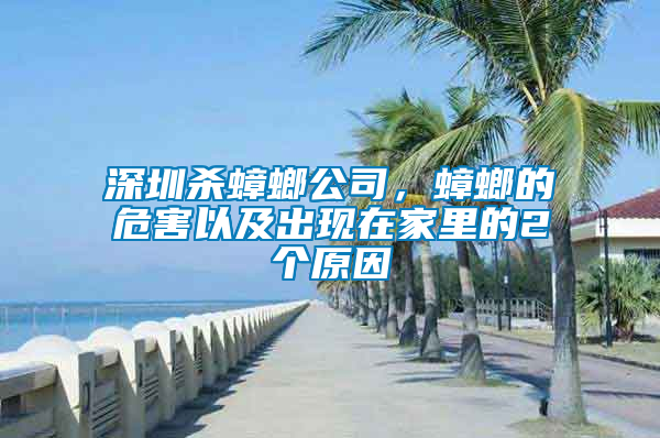 深圳殺蟑螂公司，蟑螂的危害以及出現(xiàn)在家里的2個(gè)原因