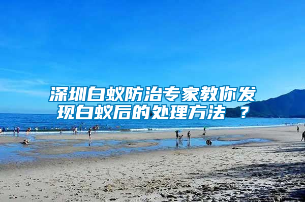 深圳白蟻防治專家教你發現白蟻后的處理方法 ？